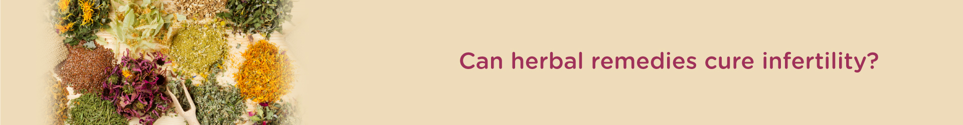 Can Herbal Remedies Cure Infertility?