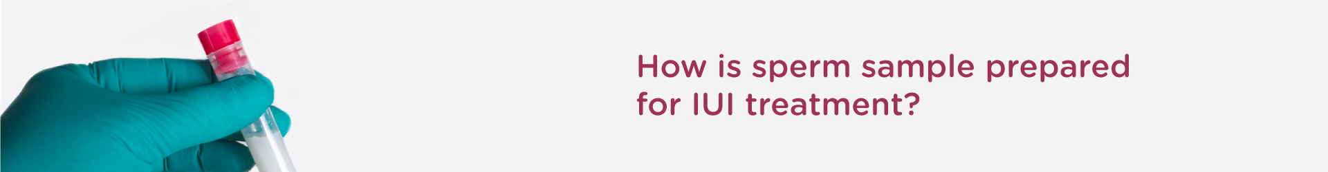How is the Sperm Sample Prepared for IUI treatment?