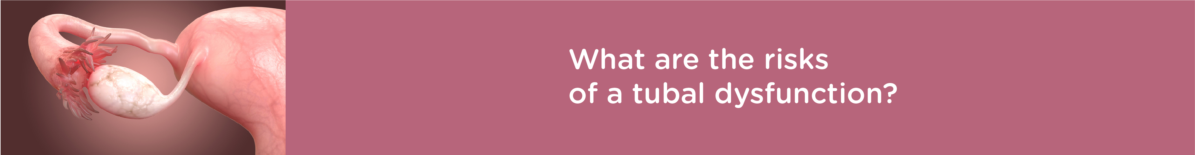 What are the Risks of a Tubal Dysfunction?
