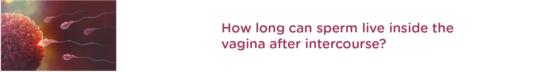 How Long Can Sperm Live Inside The Vagina After Intercourse?