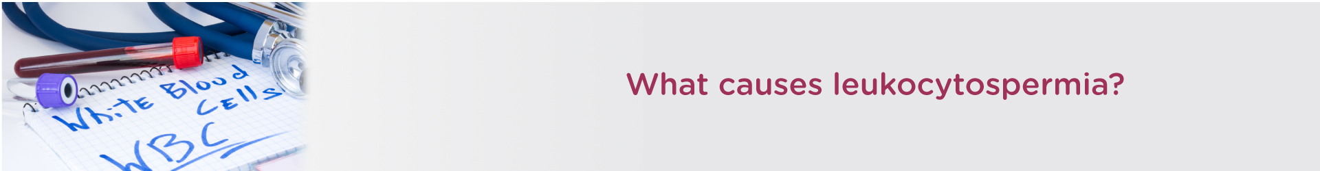 What Causes Leukocytospermia?