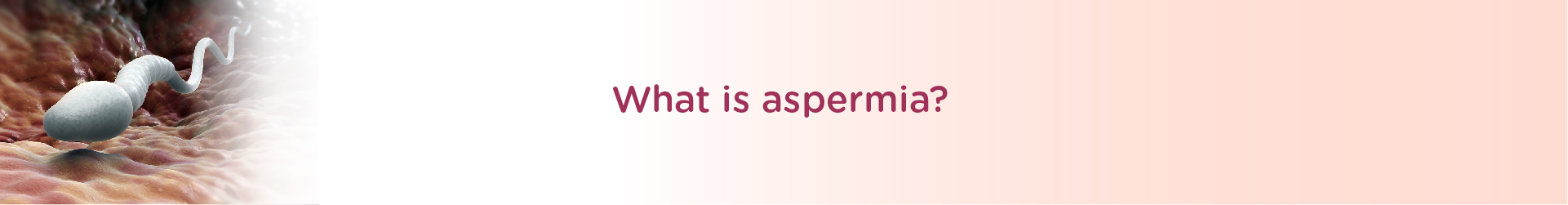 What is Aspermia?