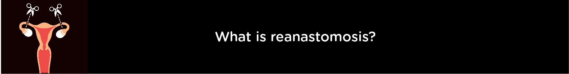 What is Reanastomosis?