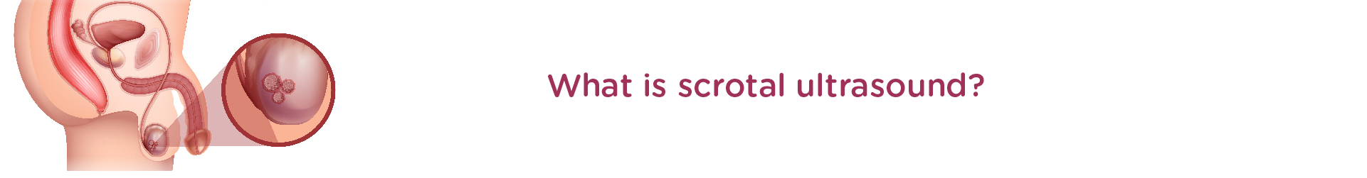 What is Scrotal Ultrasound?