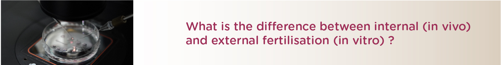What is the Difference between Internal (In Vivo) and External Fertilization (In Vitro) ?
