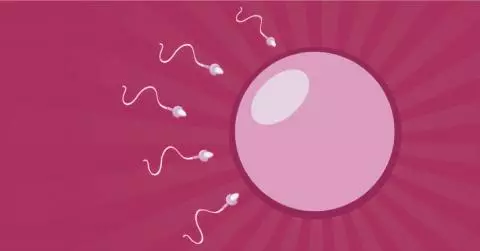 How Does Iui Work Step By Step