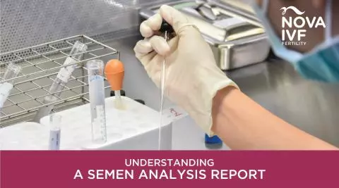 Importance of semen analysis in male infertility treatment