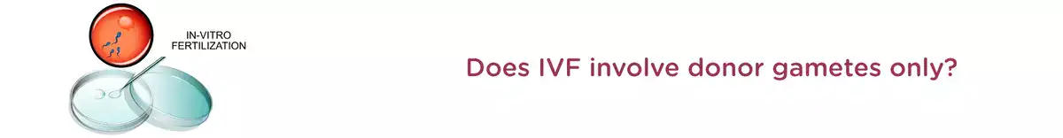 Does IVF involve donor gametes only?