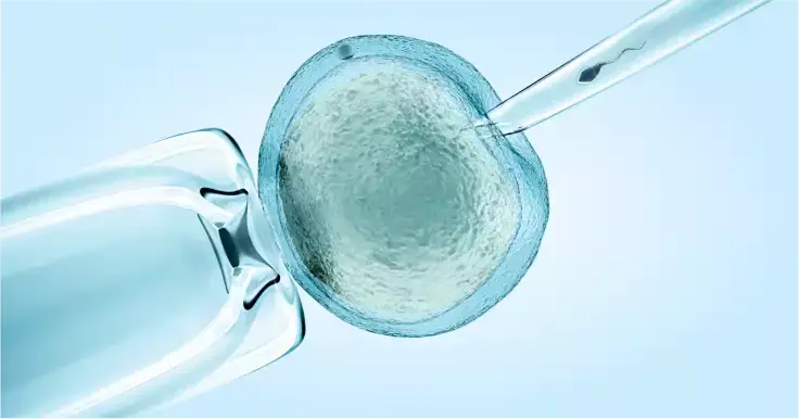 Can Alcohol Impact IVF Success Rate?