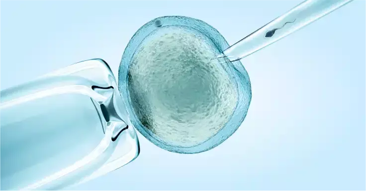 What is IVF?