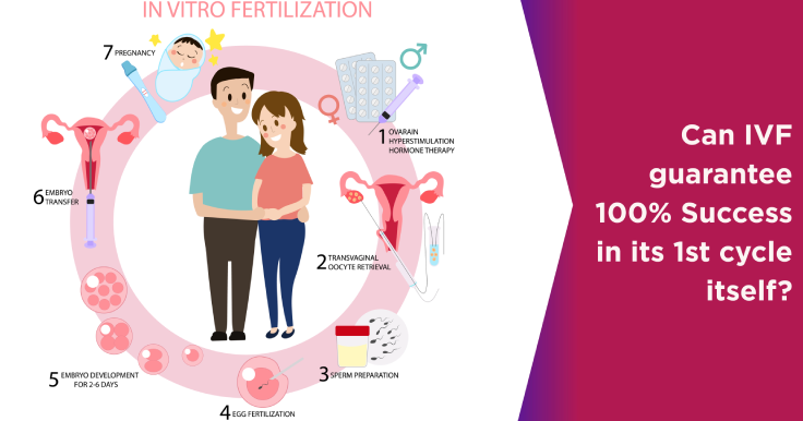 Can IVF guarantee 100% Success in its 1st cycle itself?