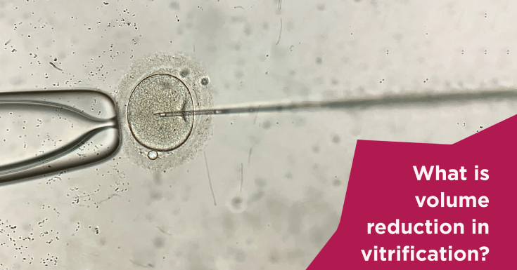 What is volume reduction in vitrification?