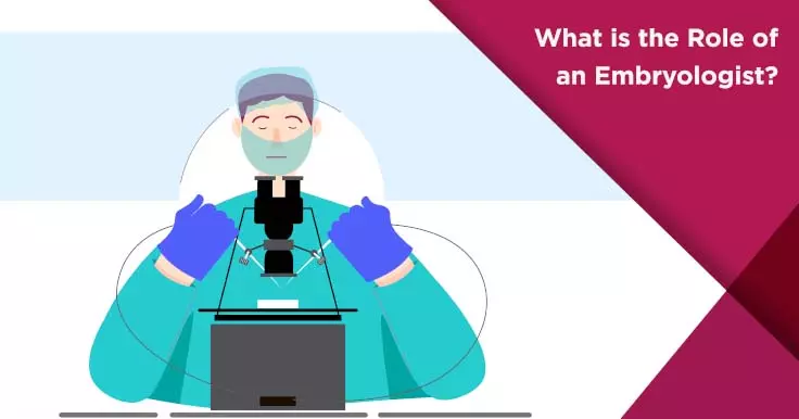 What is the Role of an Embryologist?