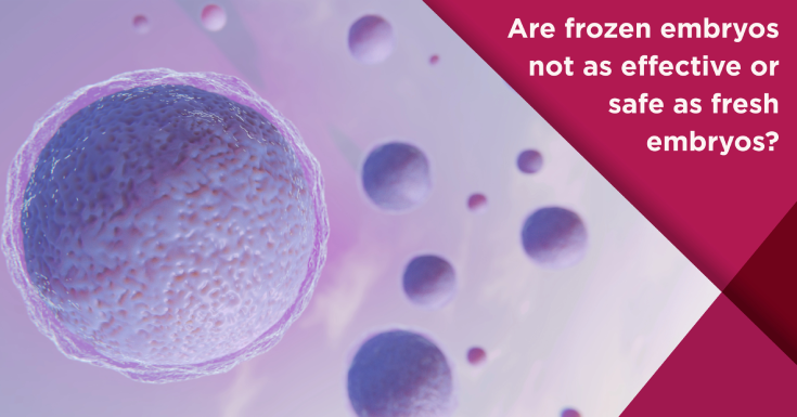 Are frozen embryos not as effective or safe as fresh embryos?