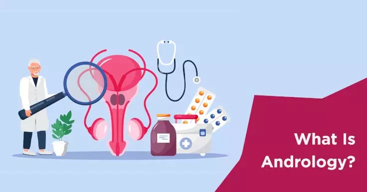 What Is Andrology: Everything You Need to Know