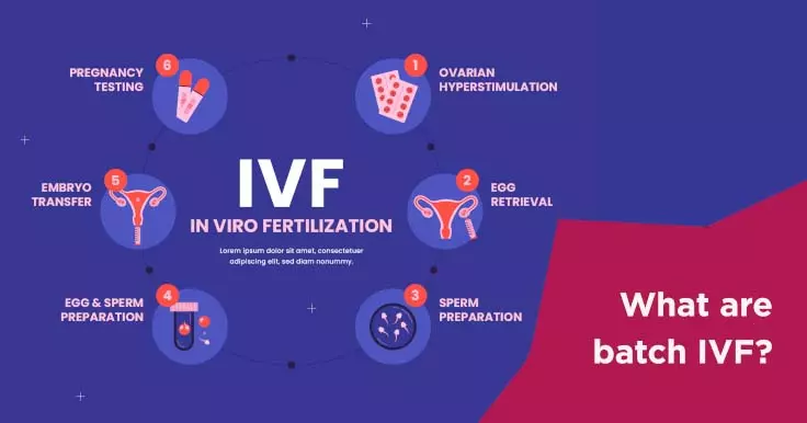 What are batch IVF?