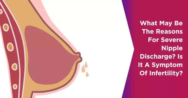 Phases of Menstrual Cycle: 4 Basic Phases