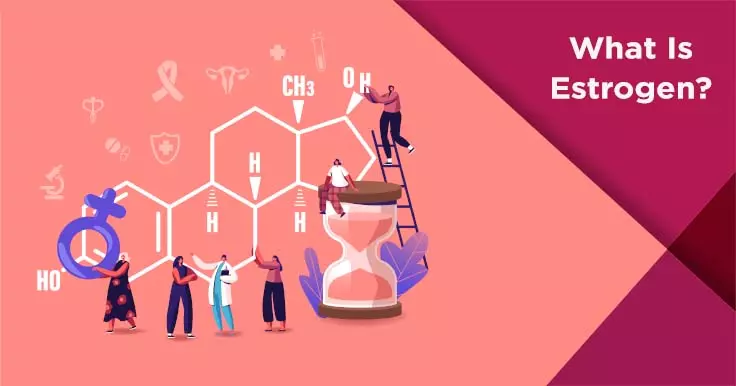 The Role of Estrace (Estradiol) in IVF