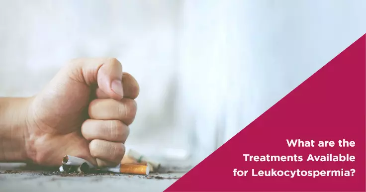 What are the Treatments Available for Leukocytospermia?