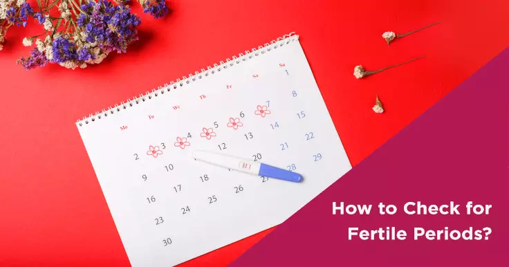 How to Check for Fertile Periods?