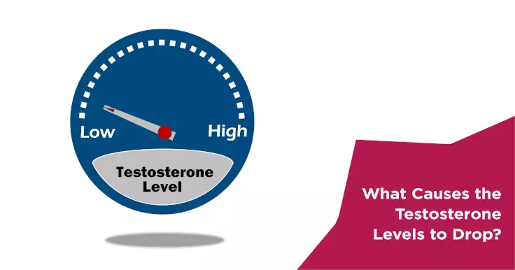 What Causes the Testosterone Levels to Drop?