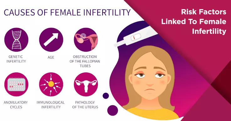 Risk Factors Linked To Female Infertility