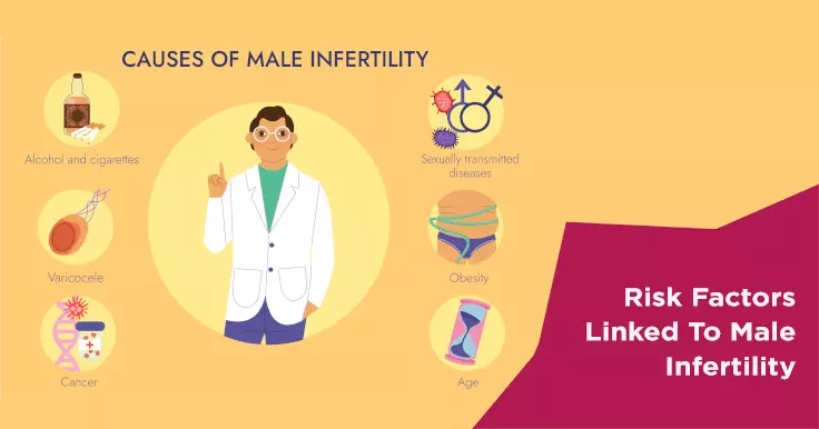 Risk Factors Linked To Male Infertility
