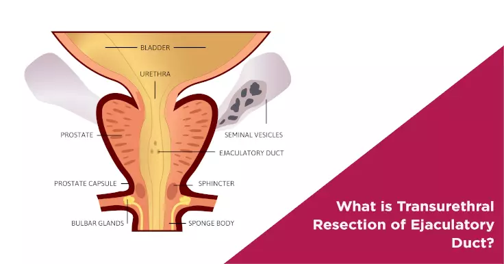 fertility help nova