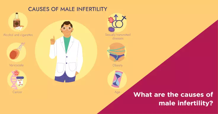 What Are The Causes Of Male Infertility Nova Ivf