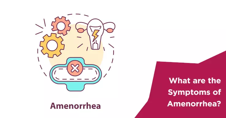 What are the Symptoms of Amenorrhea?