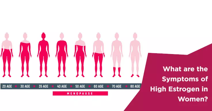 The Role of Estrace (Estradiol) in IVF