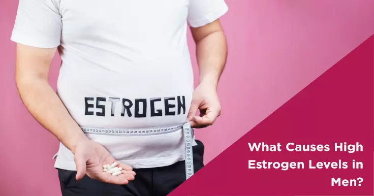 excess estrogen in men