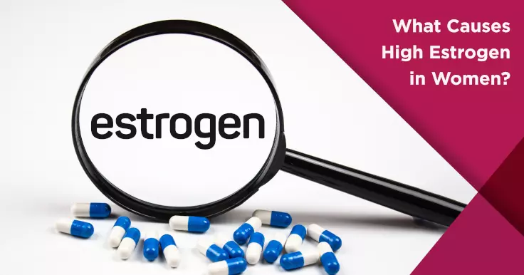 What Causes High Estrogen in Women?