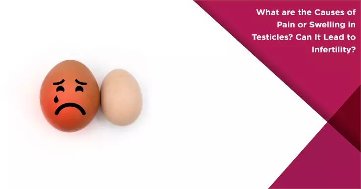 What are the Causes of Pain or Swelling in Testicles? Can It Lead to Infertility?