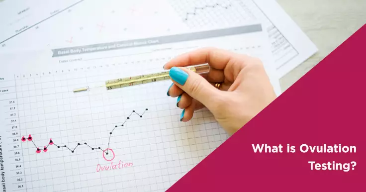 What is Ovulation Testing?