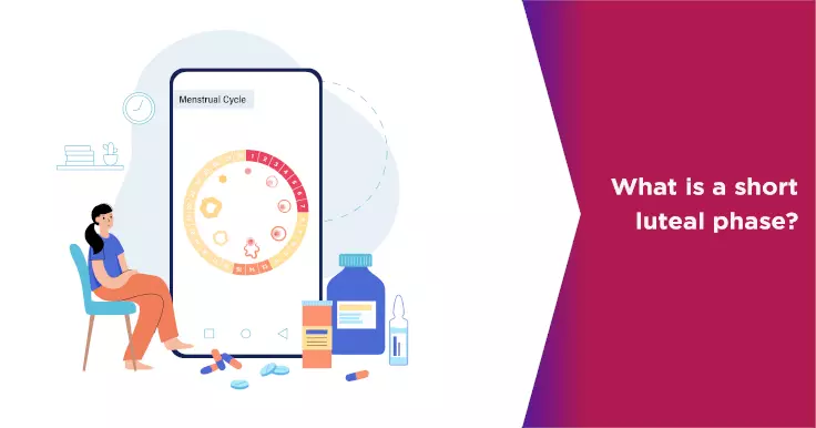What is a short luteal phase?