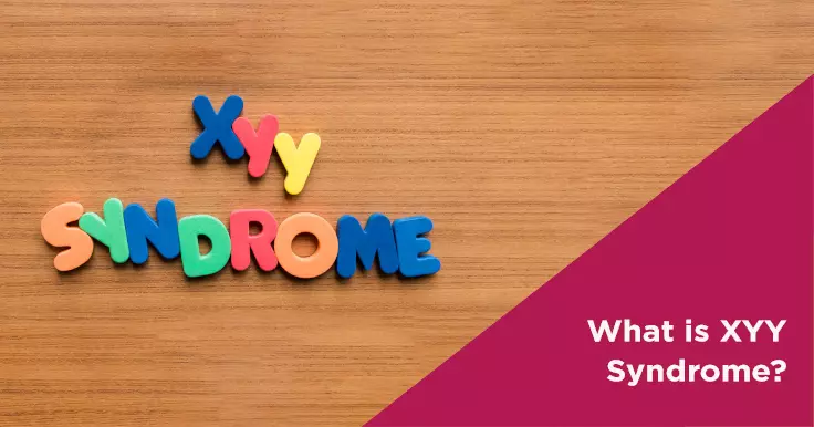 What is XYY Syndrome?