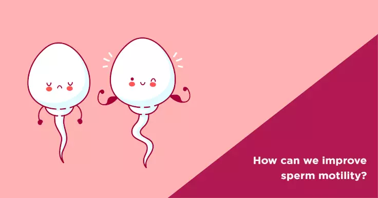How can we improve sperm motility?