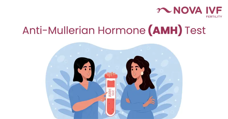  Anti-Müllerian Hormone (AMH) Test: What It Reveals About Fertility