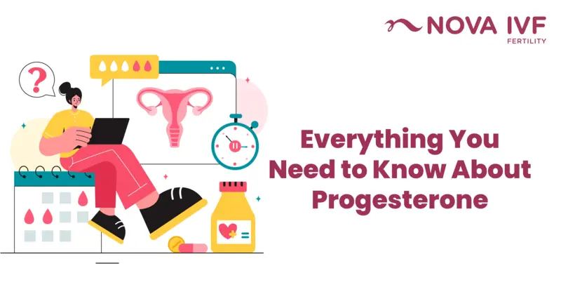  Everything You Need to Know About Progesterone