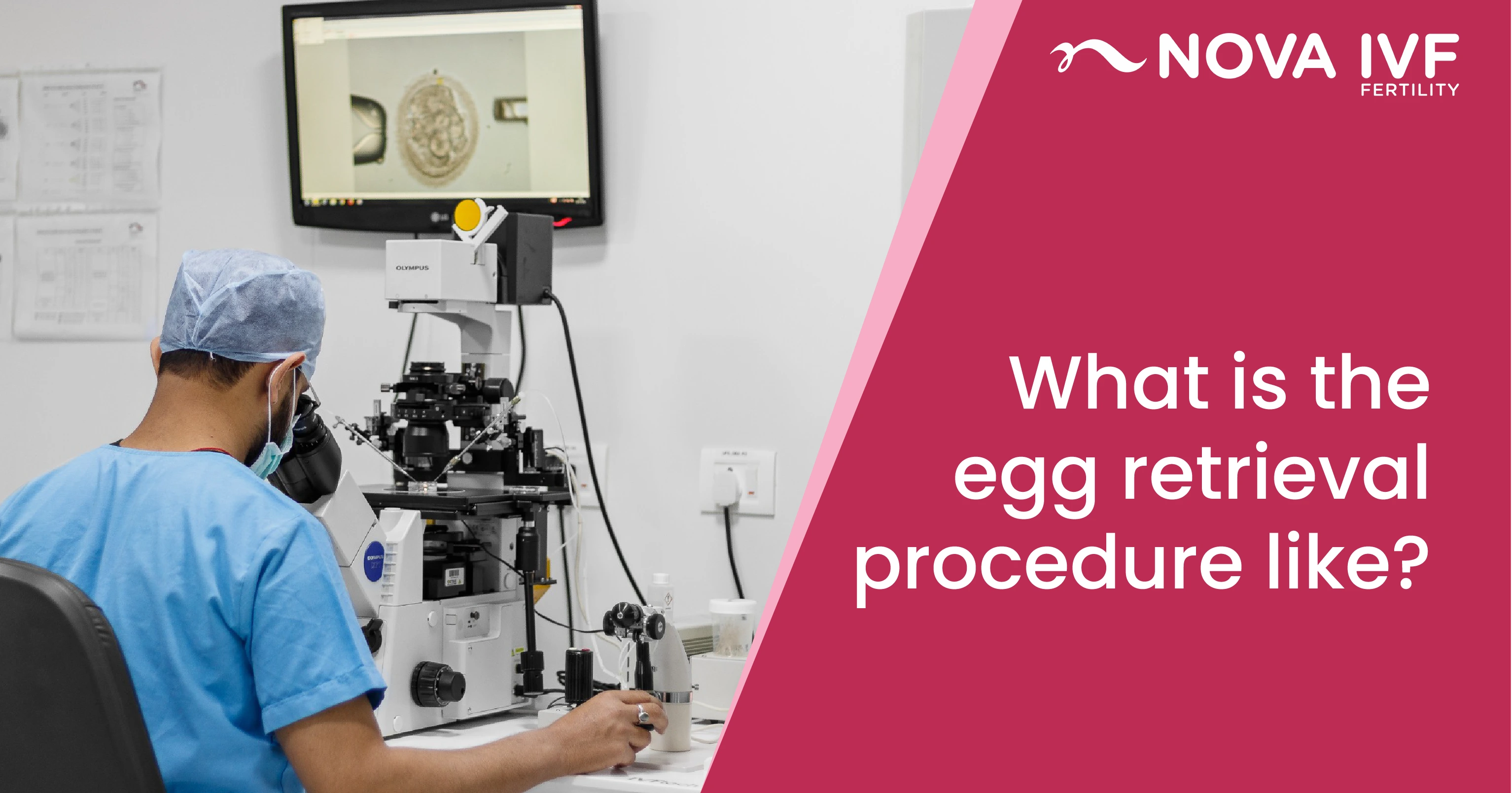  Egg Retrieval IVF Process: Steps