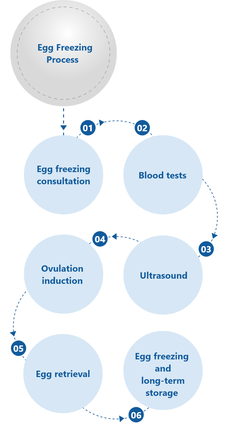 Egg Freezing Process