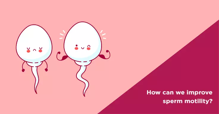 What Is Sperm Motility and How to Increase It?