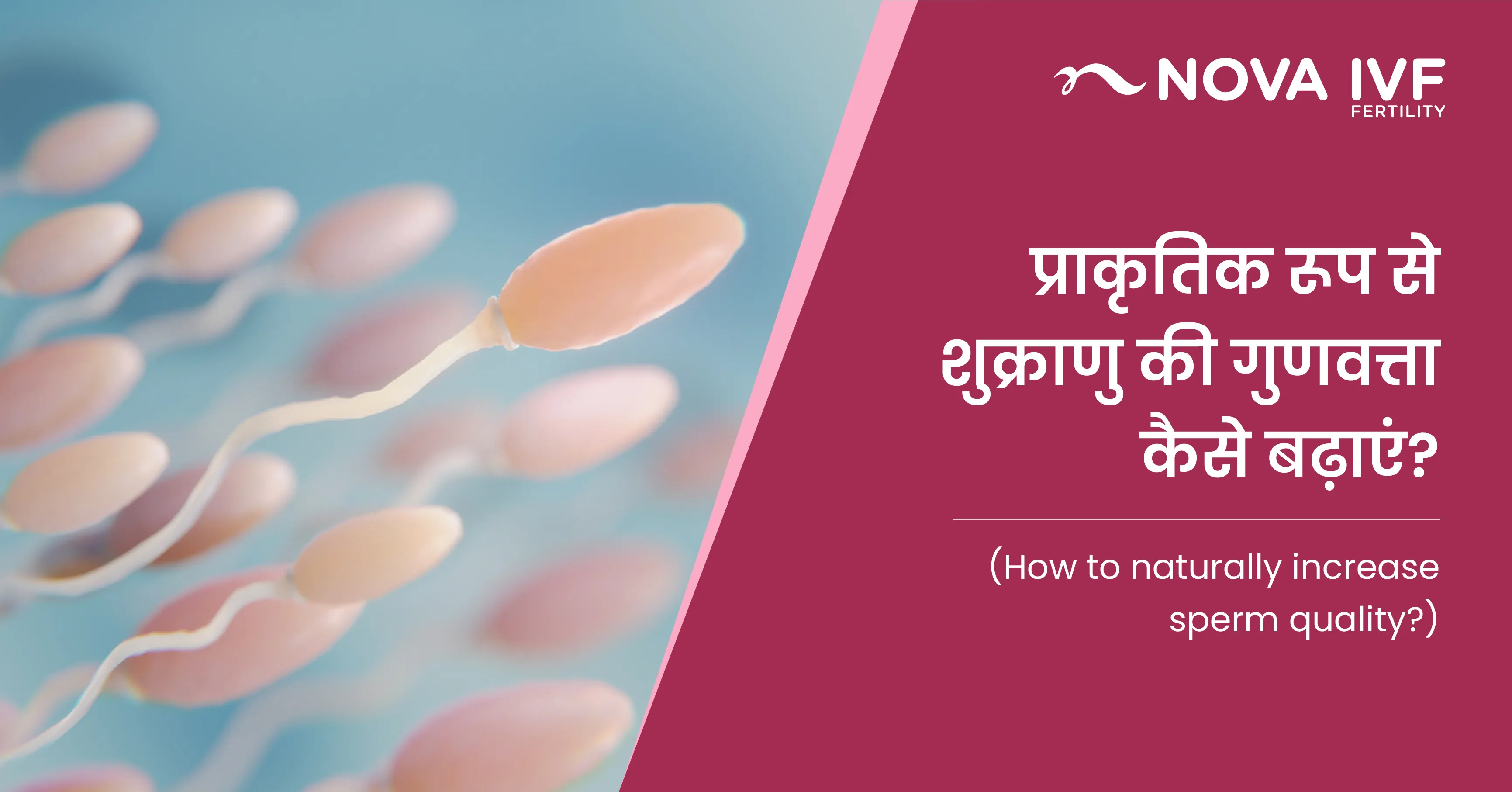 प्राकृतिक रूप से शुक्राणु की गुणवत्ता कैसे बढ़ाएं? (How to Naturally Increase Sperm Quality in Hindi) 